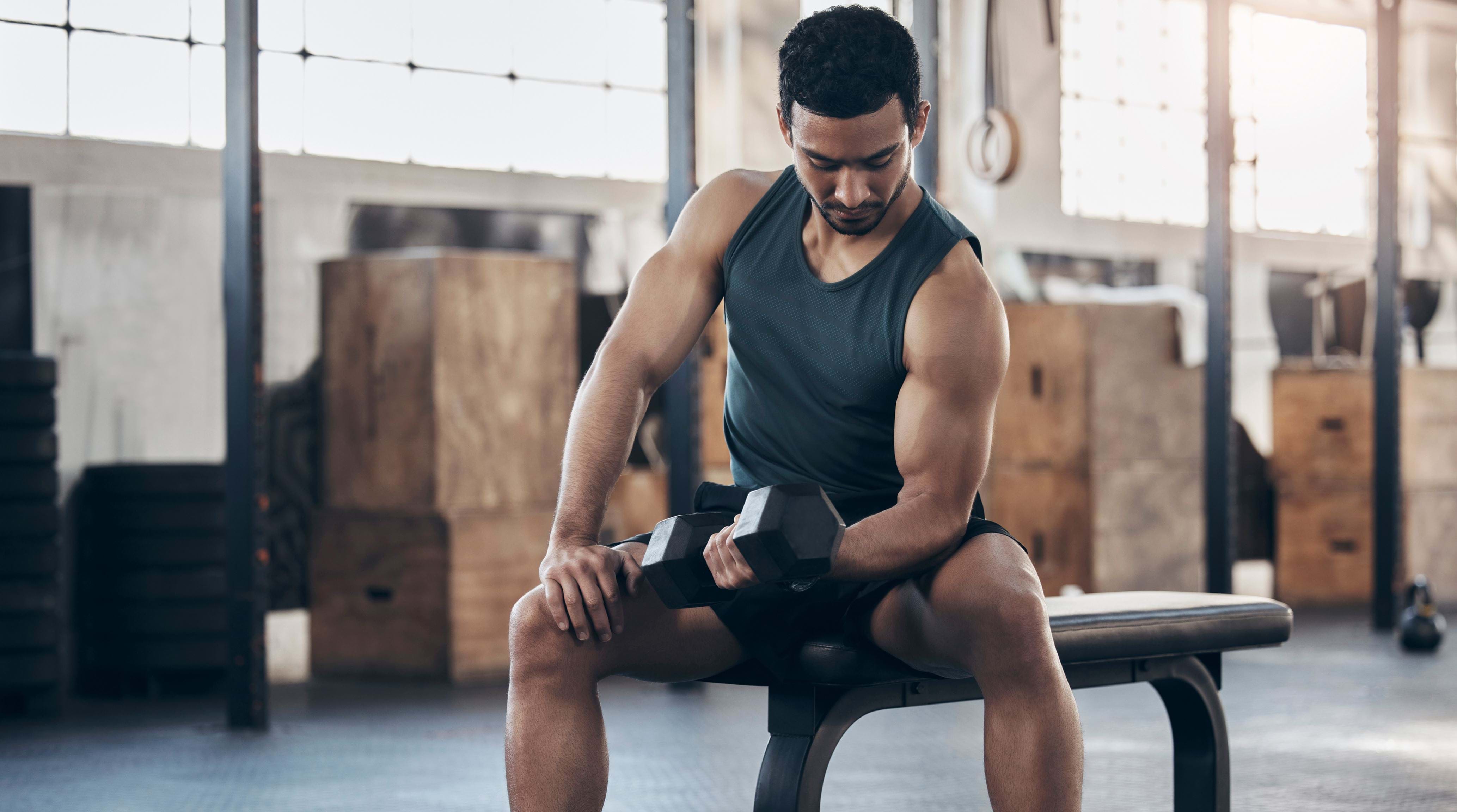 
                  3 Muscle-Building Fundamentals You Need to Learn