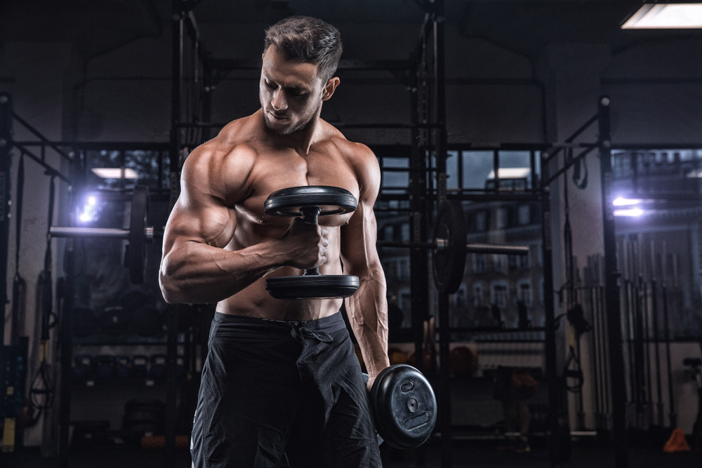 
                  These Are the Best Bodybuilding Exercises for Each Muscle Group