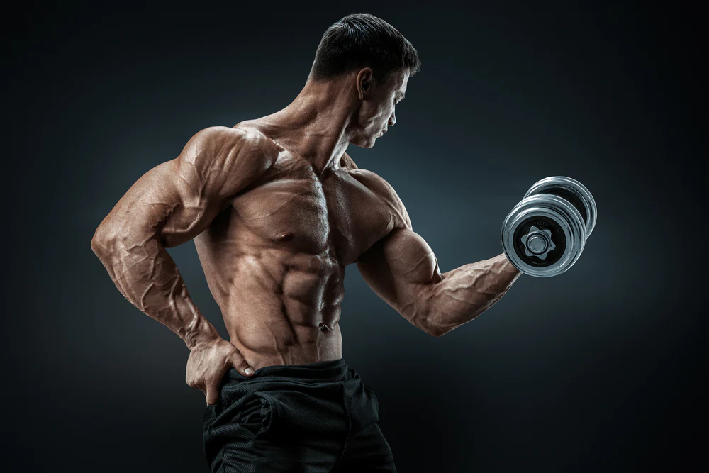 10 Best Exercises To Build a Shredded Body Fast