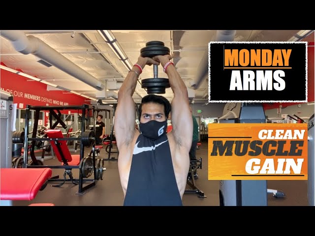 
                  Monday - Arms | CLEAN MUSCLE GAIN program by Guru Mann